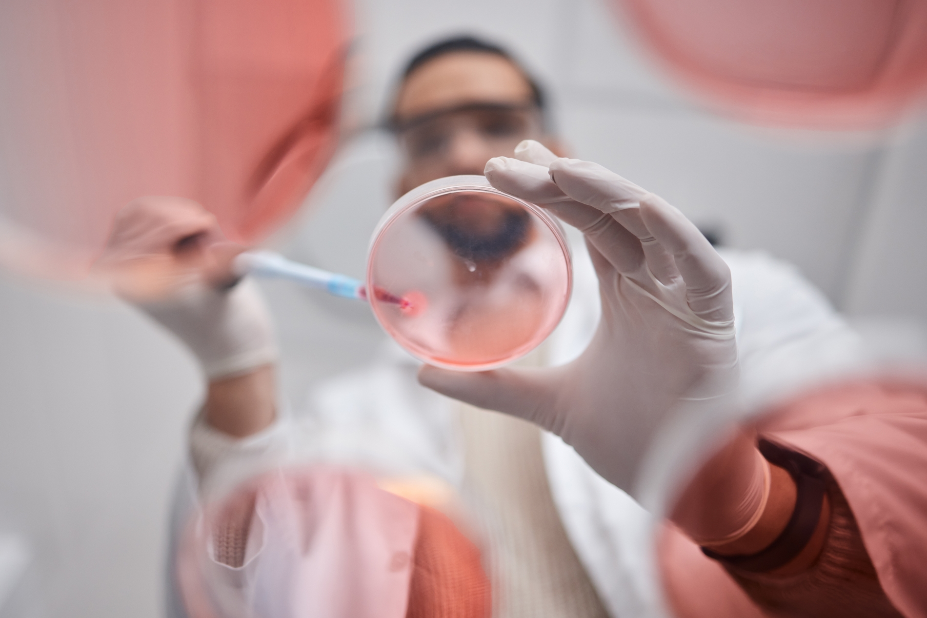 Lab